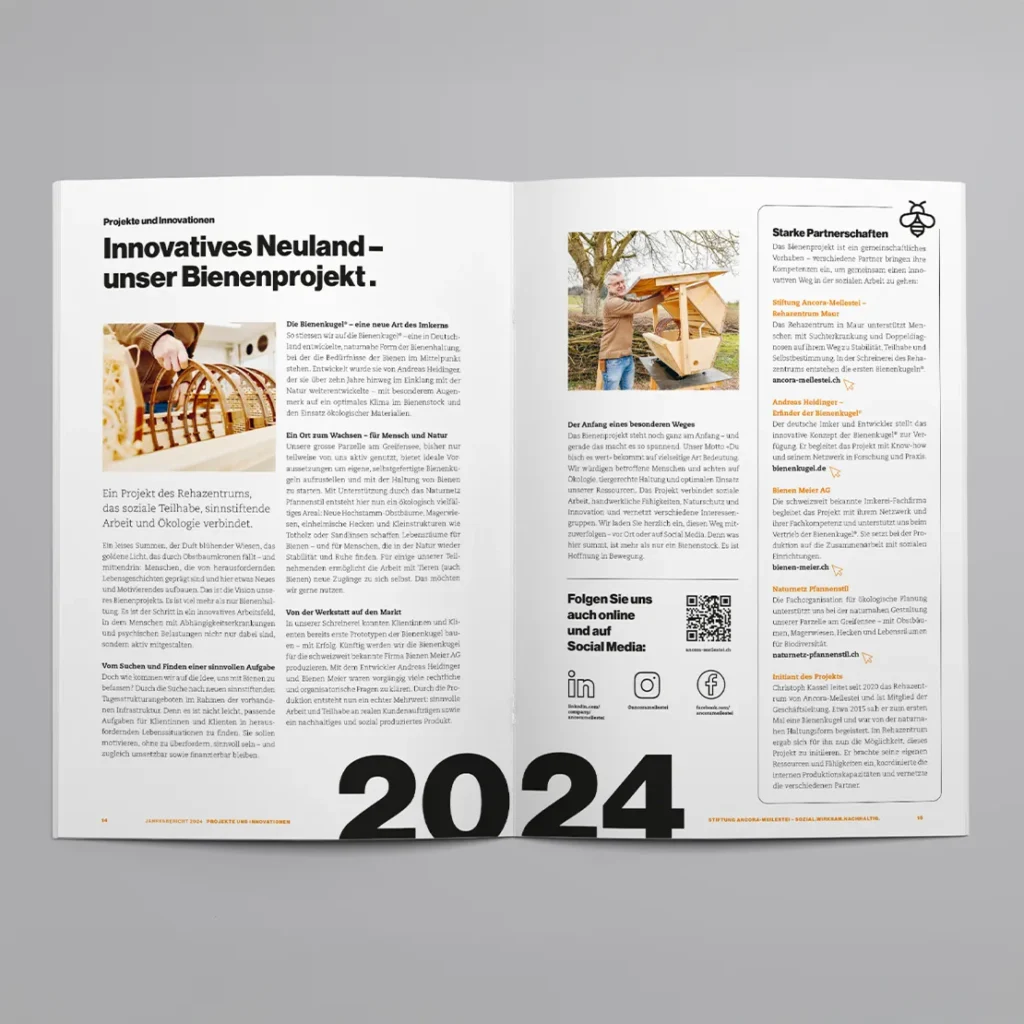 Geschäftsbericht Ancora-Meilestei Bienen