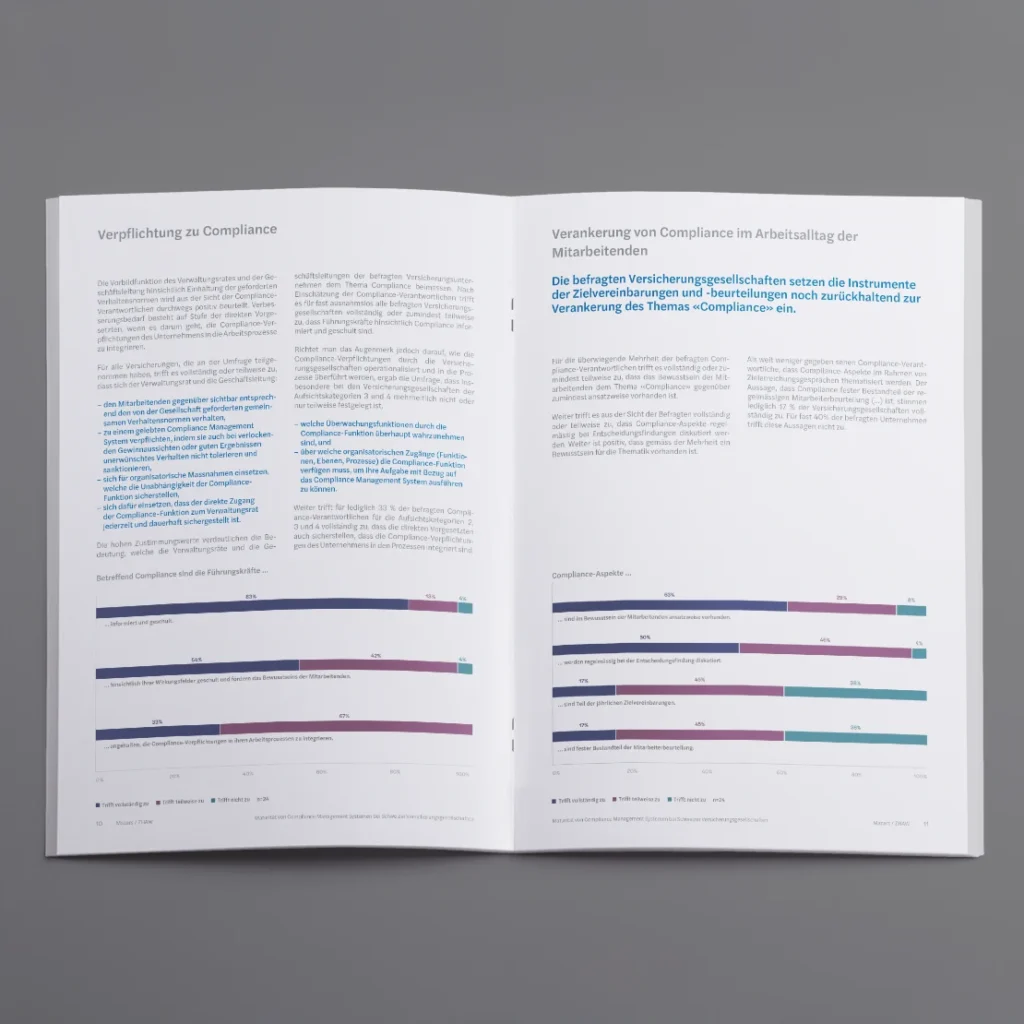 Forvis Mazars Studienbroschüre Innenseite