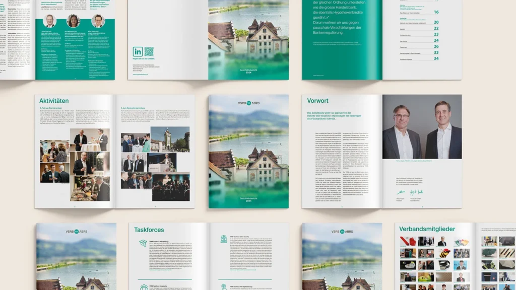 Inhalte Jahresbericht VSRB